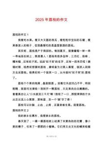 2025年荔枝的作文