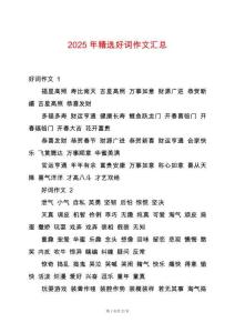 2025年精選好詞作文匯總