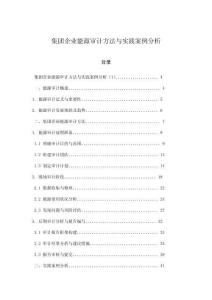 集團(tuán)企業(yè)能源審計(jì)方法與實(shí)踐案例分析