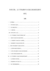 名師引領：公立學校教師專業成長機制優化路徑研究