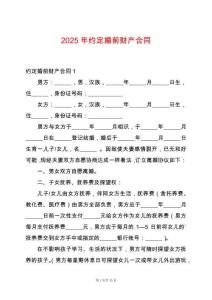 2025年約定婚前財產合同