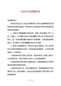 2025年試用期合同