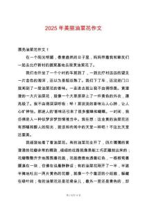 2025年美麗油菜花作文