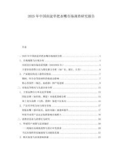 2025年中國面盆單把水嘴市場調(diào)查研究報告