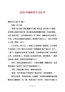 2025年碗的作文500字