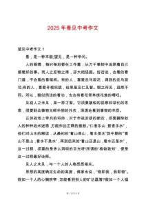 2025年看見中考作文