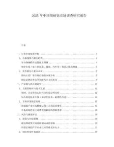 2025年中國縮柄鉆市場調(diào)查研究報告
