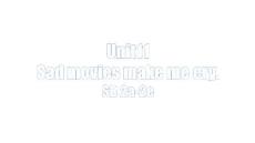 人教版九年級全冊 Unit 11 Sad movies make me cry. Section B 2a-2e Reading 課件