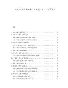 2025年工業(yè)用超寬打印機(jī)項(xiàng)目可行性研究報(bào)告