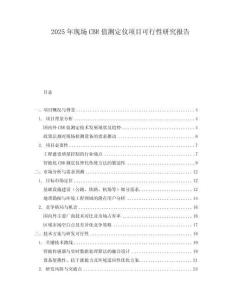 2025年現(xiàn)場(chǎng)CBR值測(cè)定儀項(xiàng)目可行性研究報(bào)告