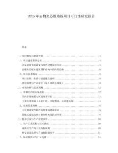 2025年巖棉夾芯板墻板項(xiàng)目可行性研究報(bào)告