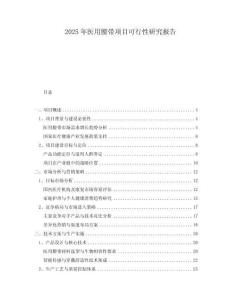 2025年醫(yī)用腰帶項(xiàng)目可行性研究報告