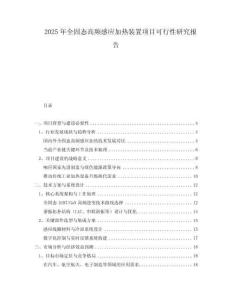 2025年全固態(tài)高頻感應加熱裝置項目可行性研究報告