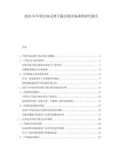 2025年中國分體式彈子插芯鎖市場調查研究報告