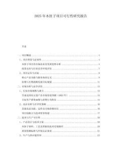 2025年木匣子項目可行性研究報告