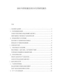 2025年塔形燙具項(xiàng)目可行性研究報(bào)告