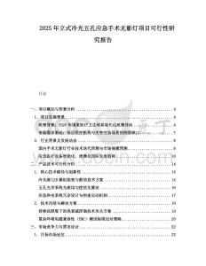 2025年立式冷光五孔應(yīng)急手術(shù)無影燈項(xiàng)目可行性研究報告