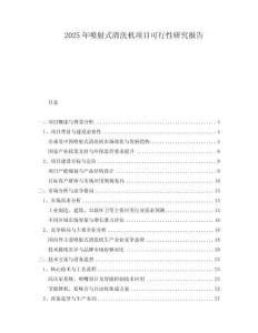 2025年噴射式清洗機項目可行性研究報告