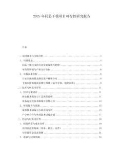 2025年同芯下模項(xiàng)目可行性研究報告