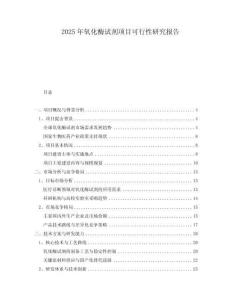 2025年氧化酶試劑項(xiàng)目可行性研究報(bào)告