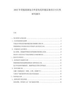 2025年帶脫離器復合外套氧化鋅避雷器項目可行性研究報告