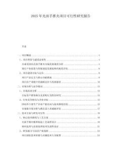 2025年光面手推夾項目可行性研究報告