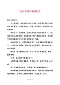 2025年訪問老師作文
