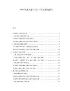 2025年壟線滾筒項目可行性研究報告