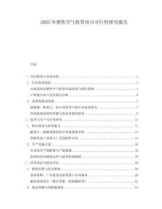 2025年彈性空氣軟管項目可行性研究報告