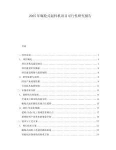 2025年碾輪式混料機(jī)項(xiàng)目可行性研究報(bào)告