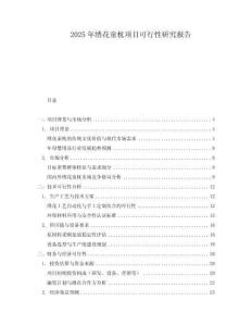 2025年繡花童枕項(xiàng)目可行性研究報(bào)告