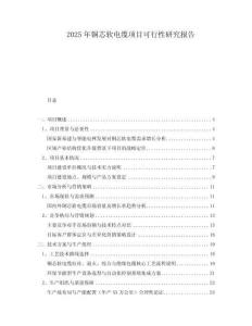 2025年銅芯軟電纜項(xiàng)目可行性研究報(bào)告