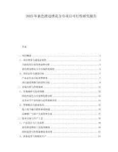 2025年素色拷邊繡花方巾項目可行性研究報告