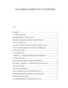 2025年超寬全電動堆高車項目可行性研究報告