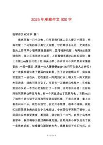 2025年觀察作文600字