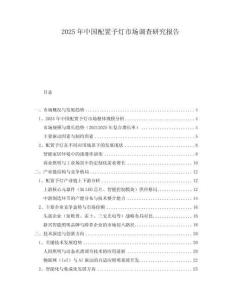2025年中國(guó)配置予燈市場(chǎng)調(diào)查研究報(bào)告