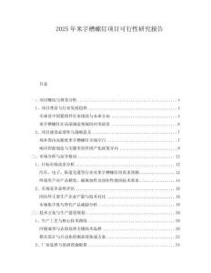 2025年米字槽螺釘項(xiàng)目可行性研究報告