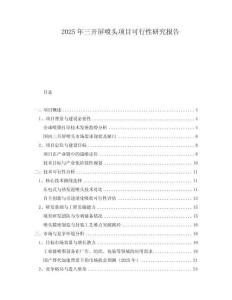 2025年三開屏噴頭項(xiàng)目可行性研究報(bào)告