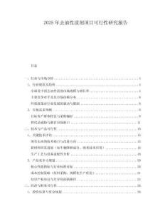 2025年去油性漬劑項(xiàng)目可行性研究報告