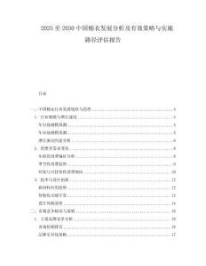 2025至2030中國棉衣發展分析及有效策略與實施路徑評估報告