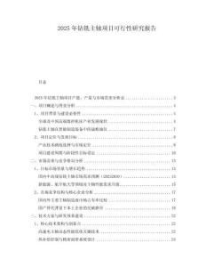 2025年鉆銑主軸項(xiàng)目可行性研究報(bào)告