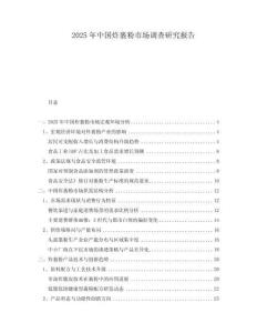 2025年中國炸裹粉市場調(diào)查研究報告