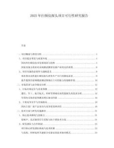 2025年掃頻儀探頭項(xiàng)目可行性研究報(bào)告