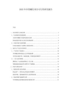 2025年傘型螺釘項(xiàng)目可行性研究報告