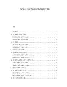 2025年仙荷米項(xiàng)目可行性研究報(bào)告