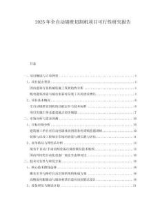 2025年全自動墻壁切割機項目可行性研究報告