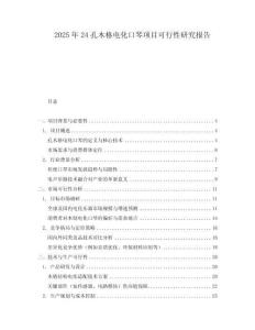 2025年24孔木格電化口琴項目可行性研究報告
