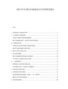 2025年RA漂白啟始液項目可行性研究報告