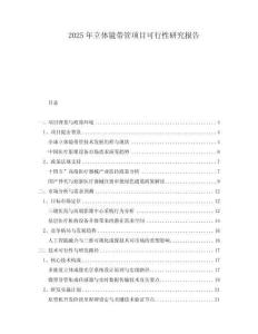 2025年立體鏡帶管項(xiàng)目可行性研究報告