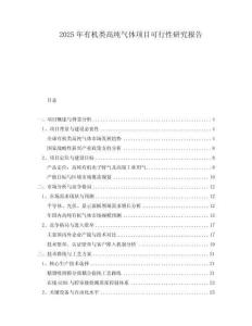 2025年有機類高純氣體項目可行性研究報告